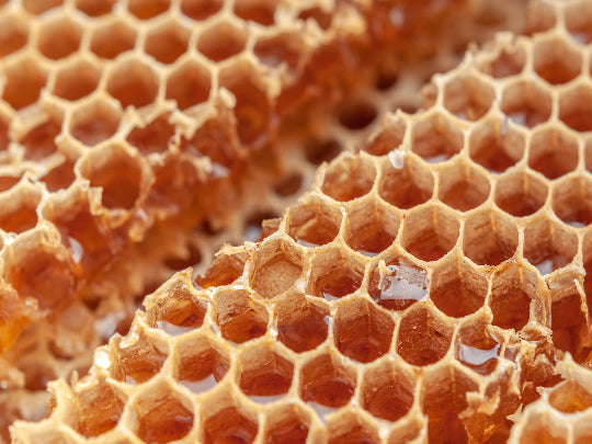 10/18 What’s the Buzz – Honey Tasting with Noel Patterson